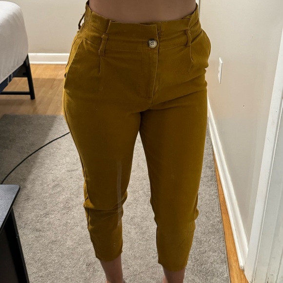 Zara Burnt Orange Dressy Pants - Picture 4 of 4